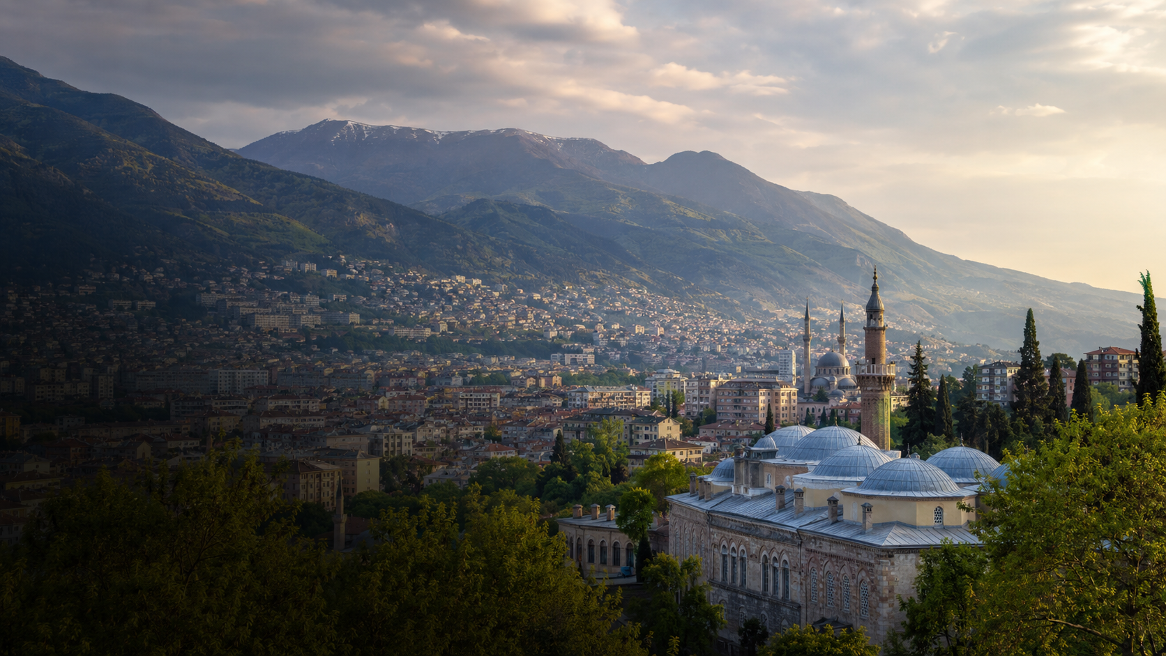 Bursa